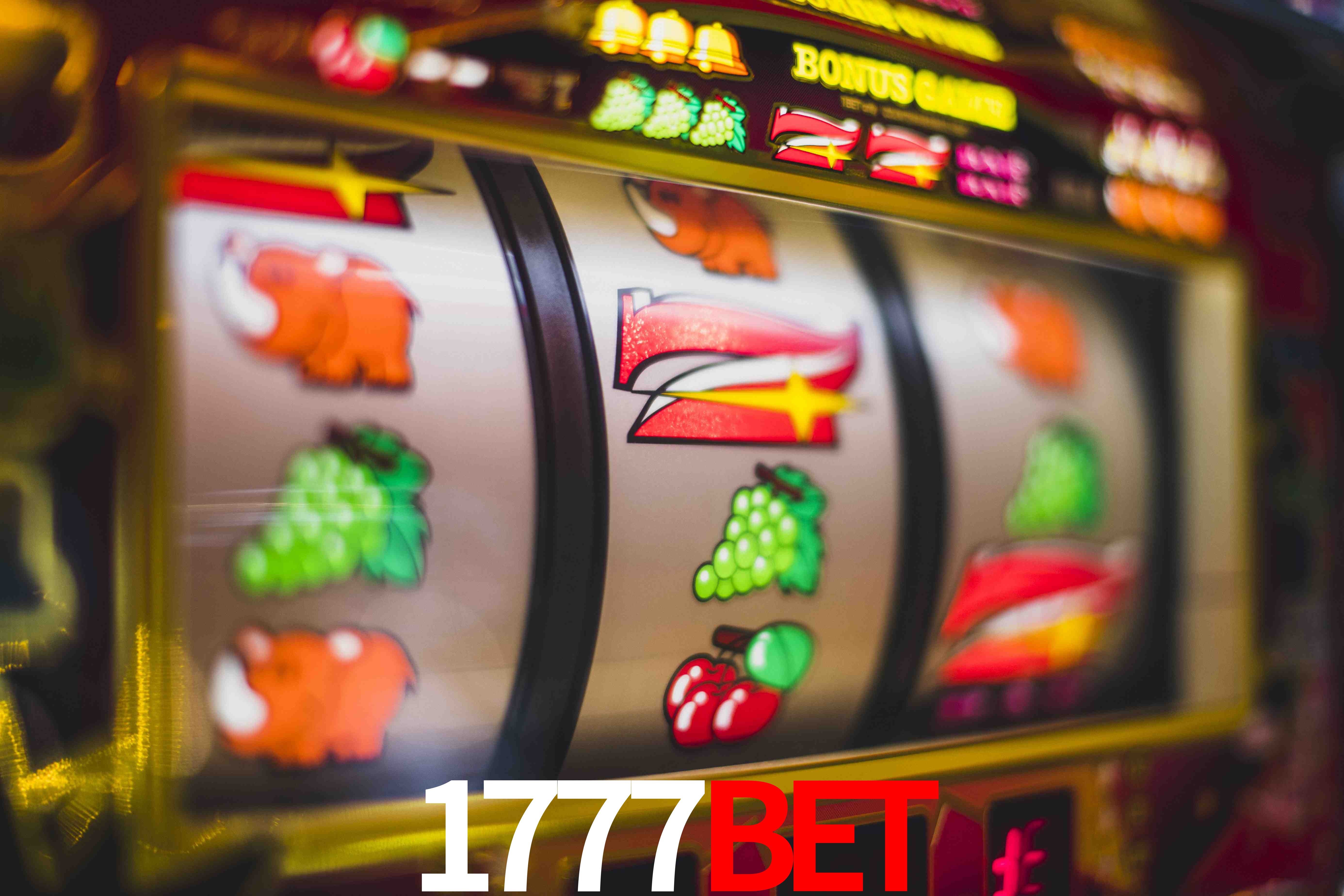 Crash Games Statistics 1777bet
